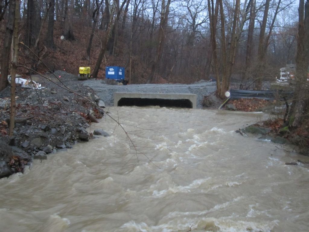 Storm drainage system