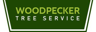 Woodpecker Tree Service - Logo