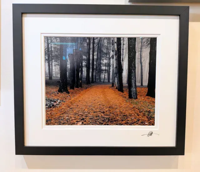 Framed landscape print of a forest path with orange leaves and tall dark trees.