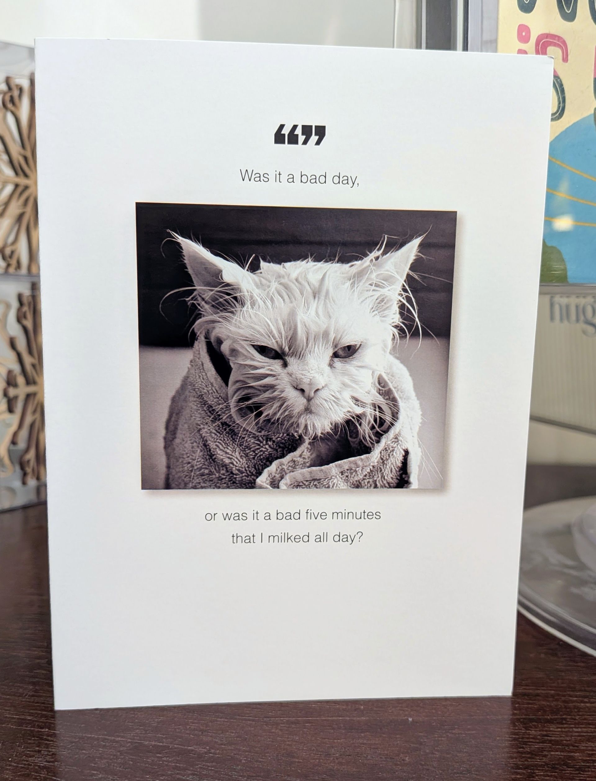 Greeting card with a black-and-white cat photo and small text on a white cover.
