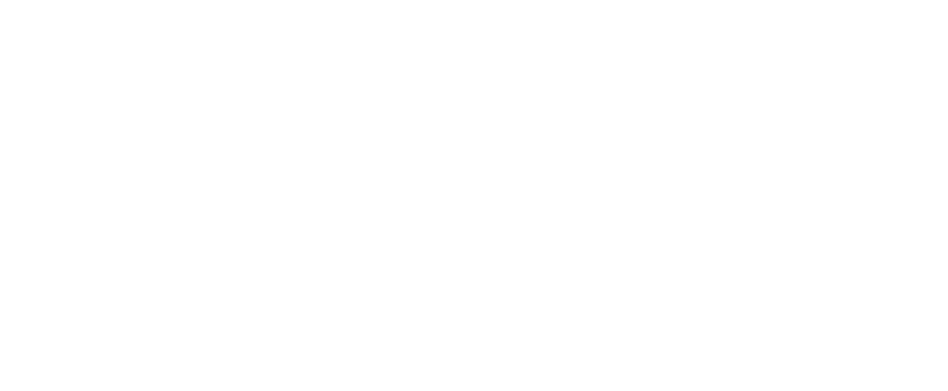 Leon Pro Services LLC - Logo 