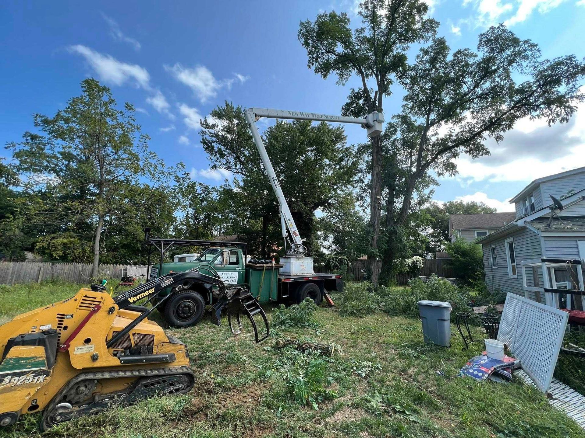 A tree being trimmed by a truck-mounted lift in a yard; green trees and sky in the background.