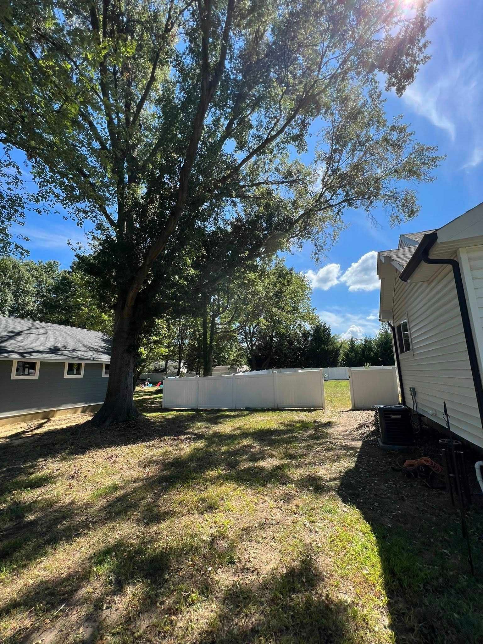 Backyard with a large tree, white fence, and a house on a sunny day.