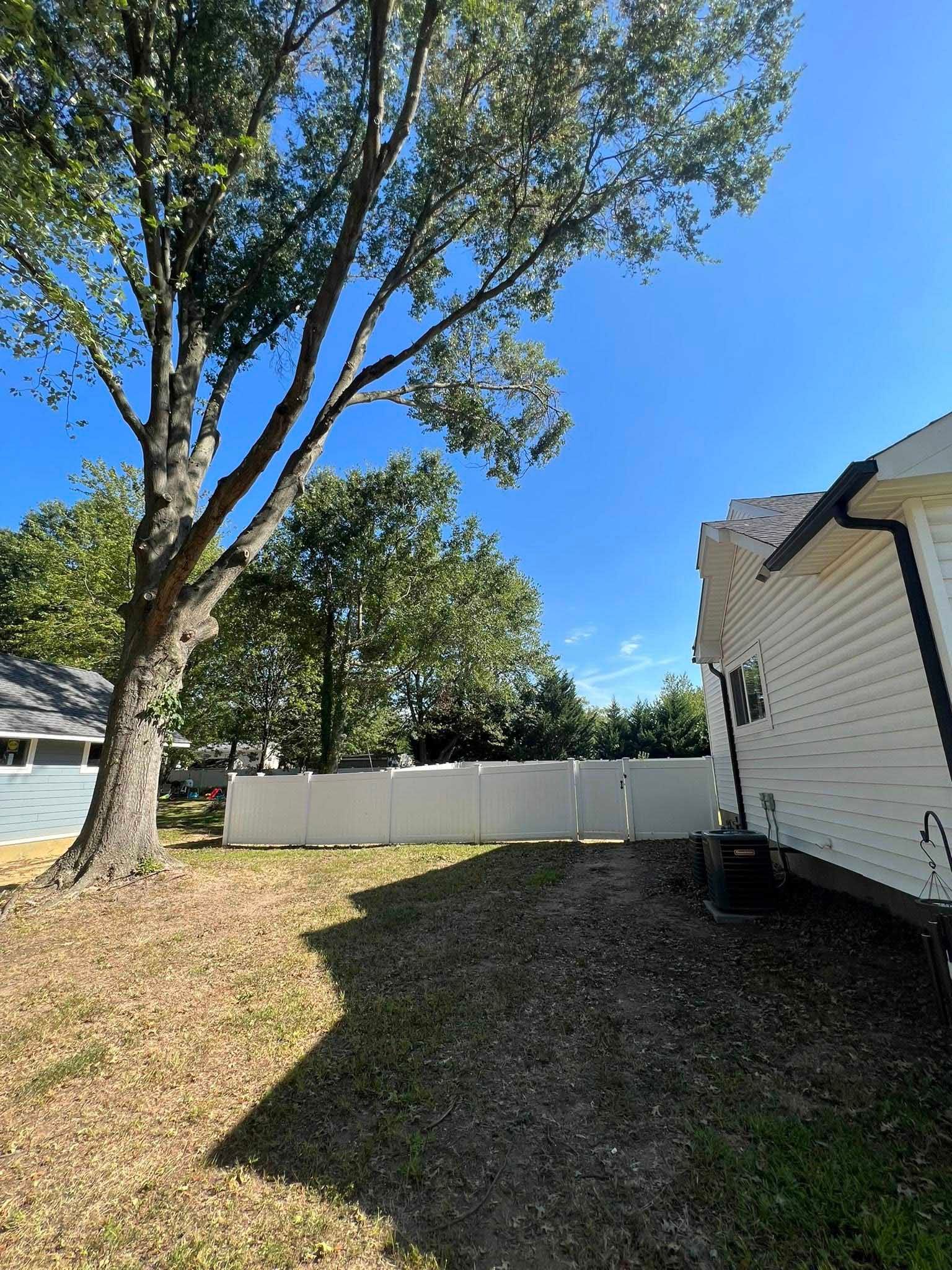 Backyard with a white fence, a tree, and a house on a sunny day.