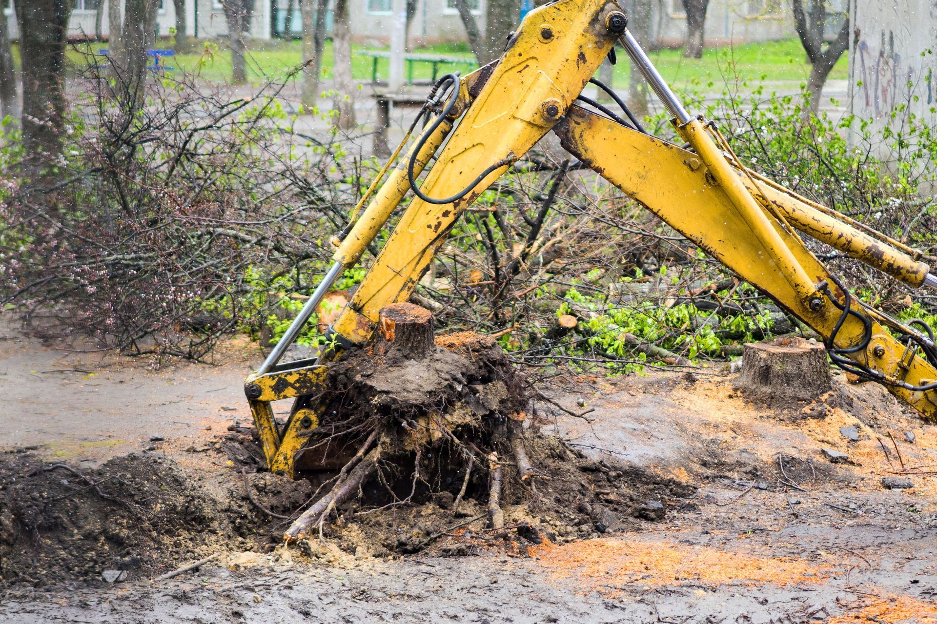 Yellow excavator removing a tree stump from muddy ground.