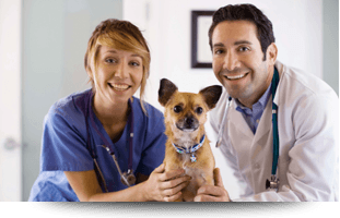 Pet Preventative Health Care
