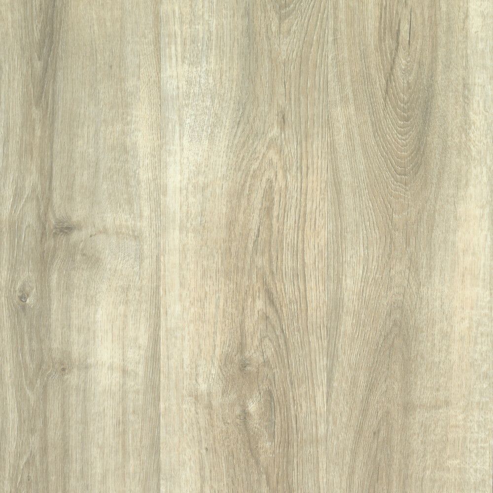 A close up of a piece of wood showing the grain and texture.
