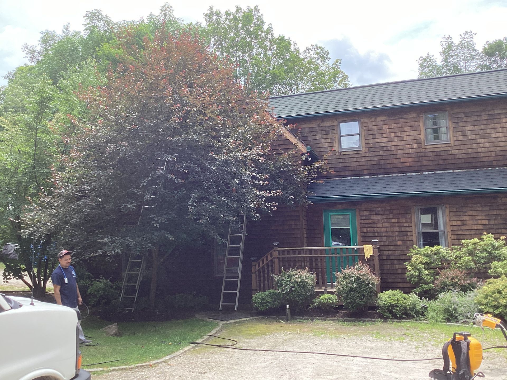 A two-story wood house with a green door and roof. A man and a tree with ladders.