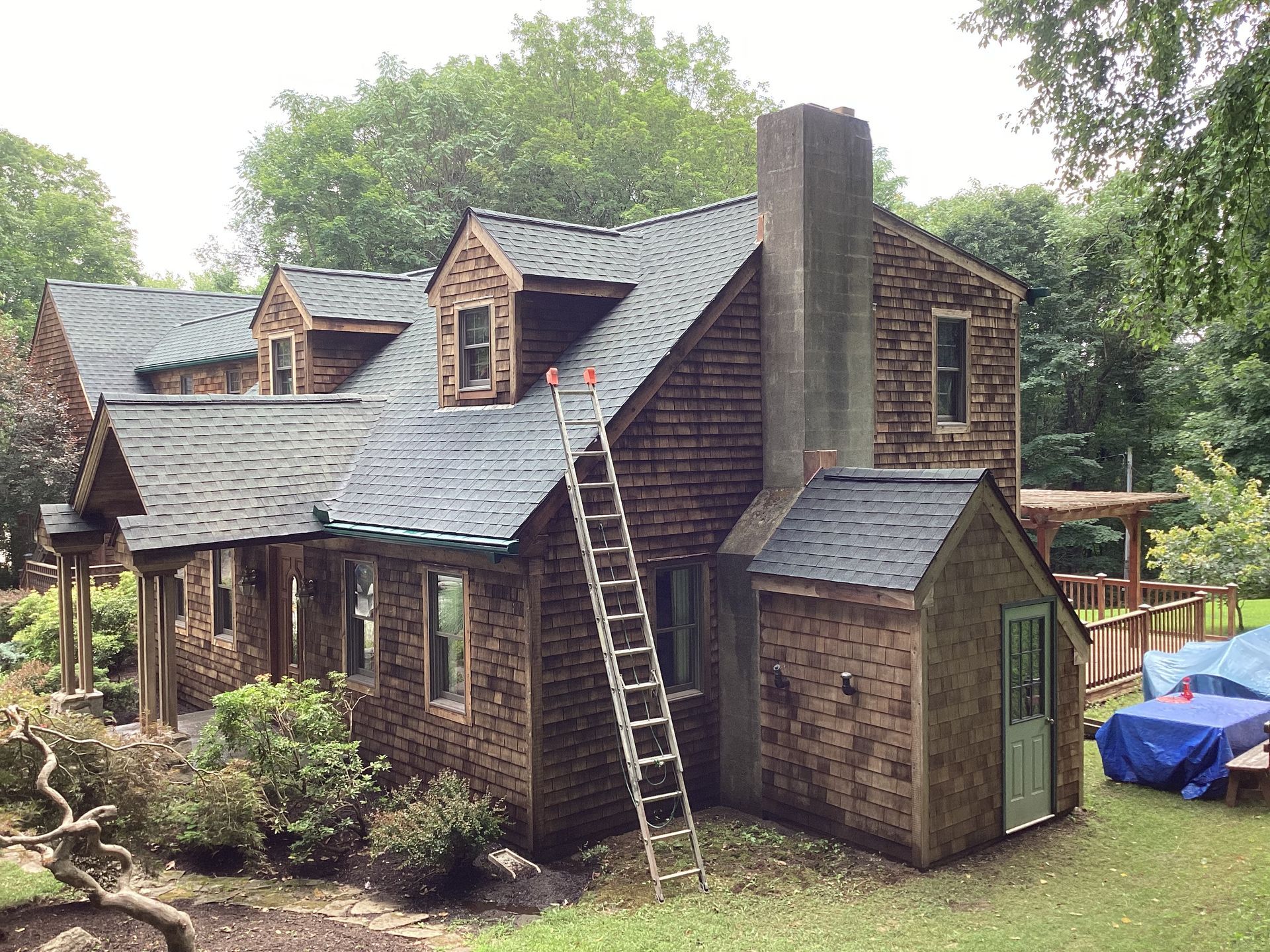 Wooden house with cedar shake roof, ladder leaning against it. Green trees in background.