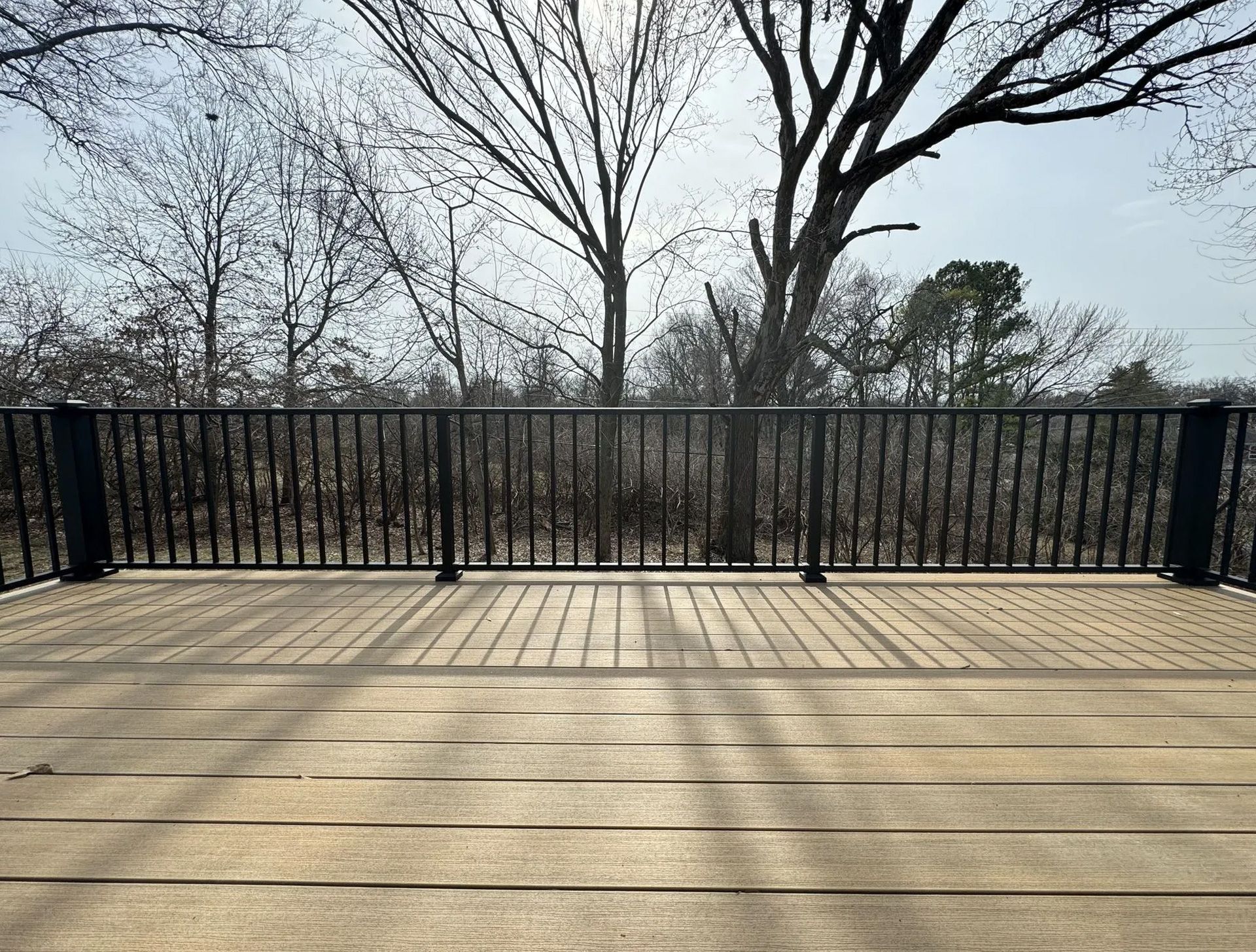 An empty deck with a black railing and trees in the background.