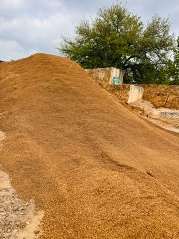 Large pile of grain or soil outdoors beside a dirt path and trees