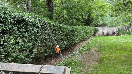 A hedge trimmer is sitting on the sidewalk next to a bush.