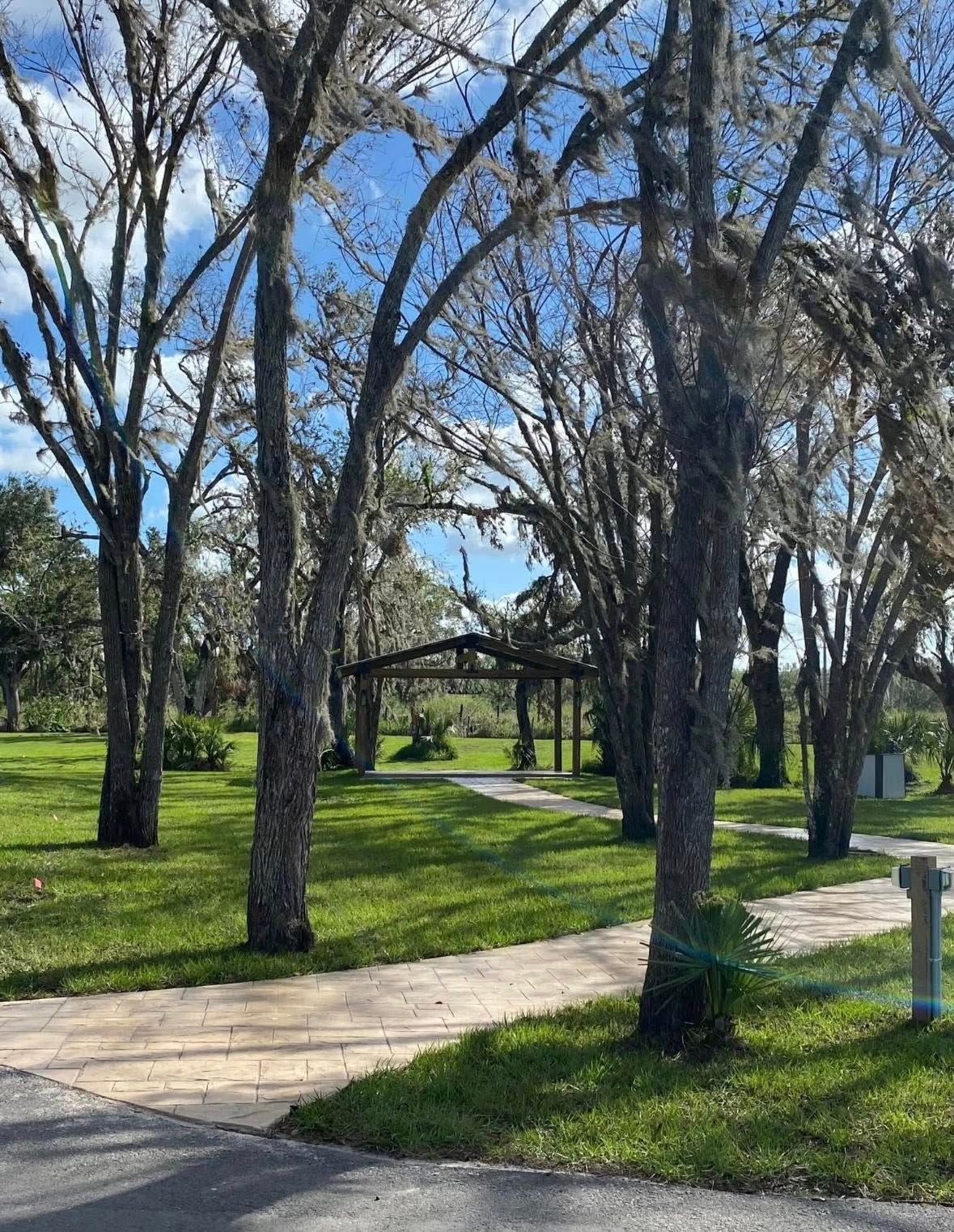 Park path lined with trees draped with Spanish moss, leading to a wooden structure, against a blue sky.