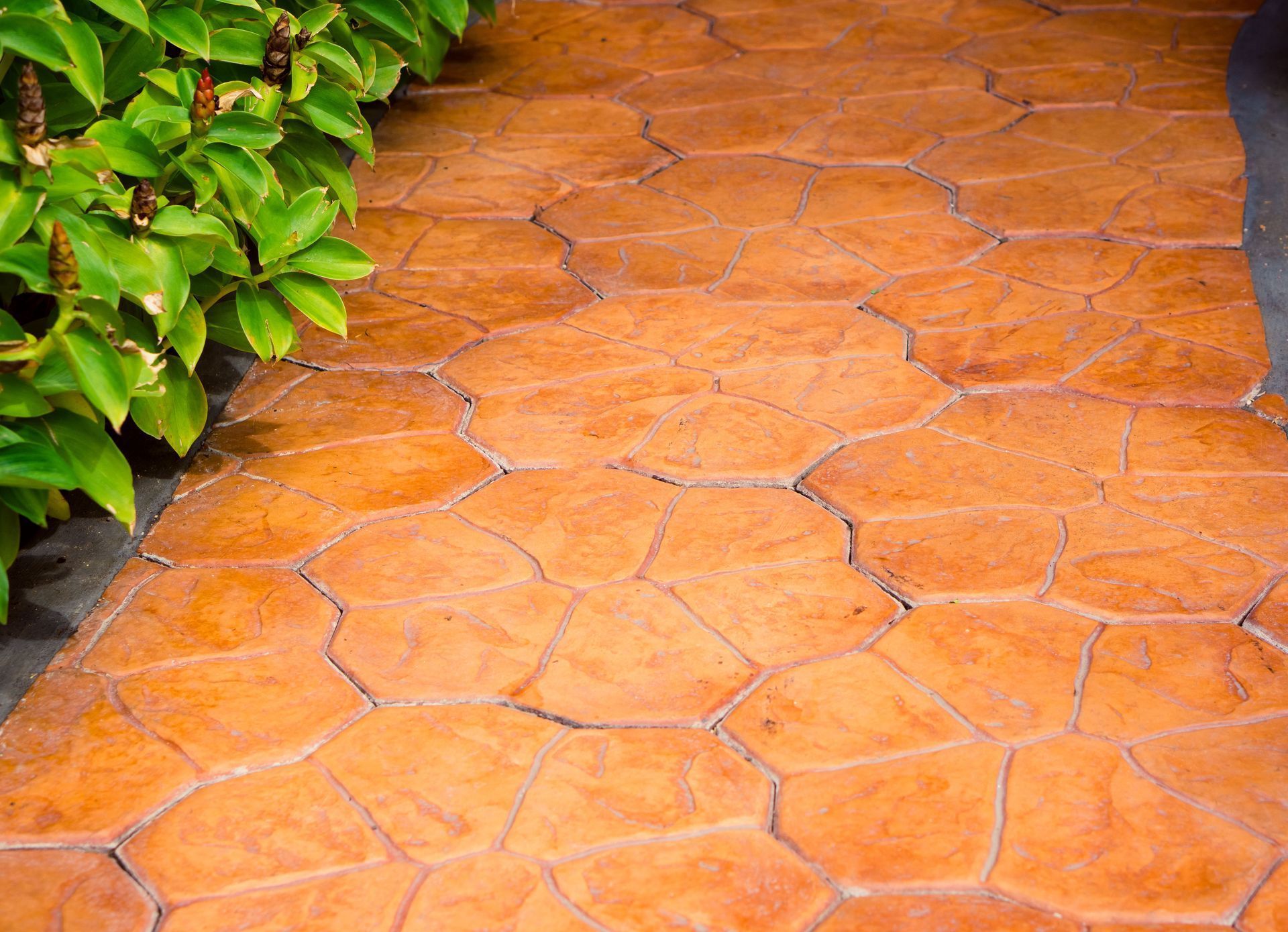 Stone-patterned concrete walkway, colored orange, next to green foliage.