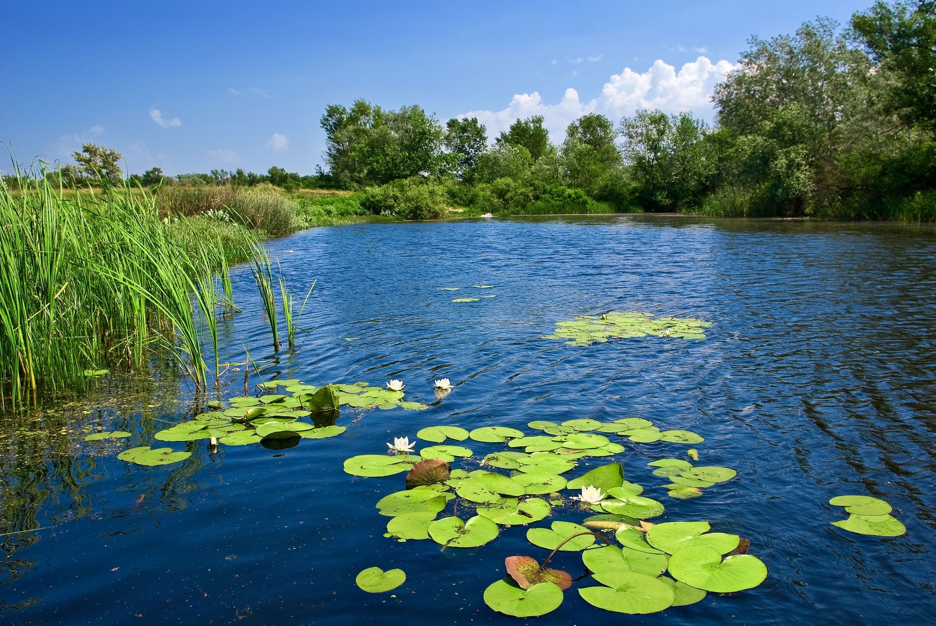 retention pond maintenance