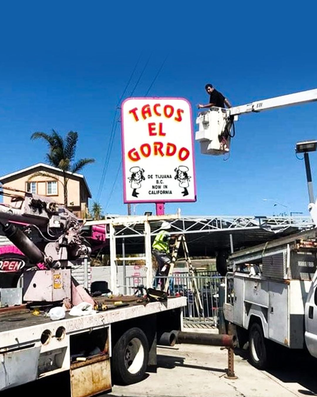 Tacos El Gordo sign above food trucks under a bright blue sky