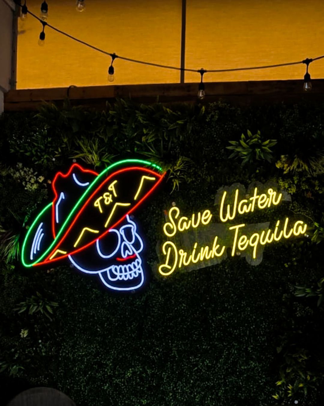 Neon skull and sombrero sign reading Save Water Drink Tequila on a green wall