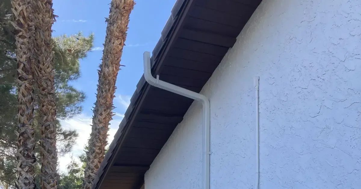 White stucco house wall with a dark roof edge and gutter, beside tall palm trees against a blue sky
