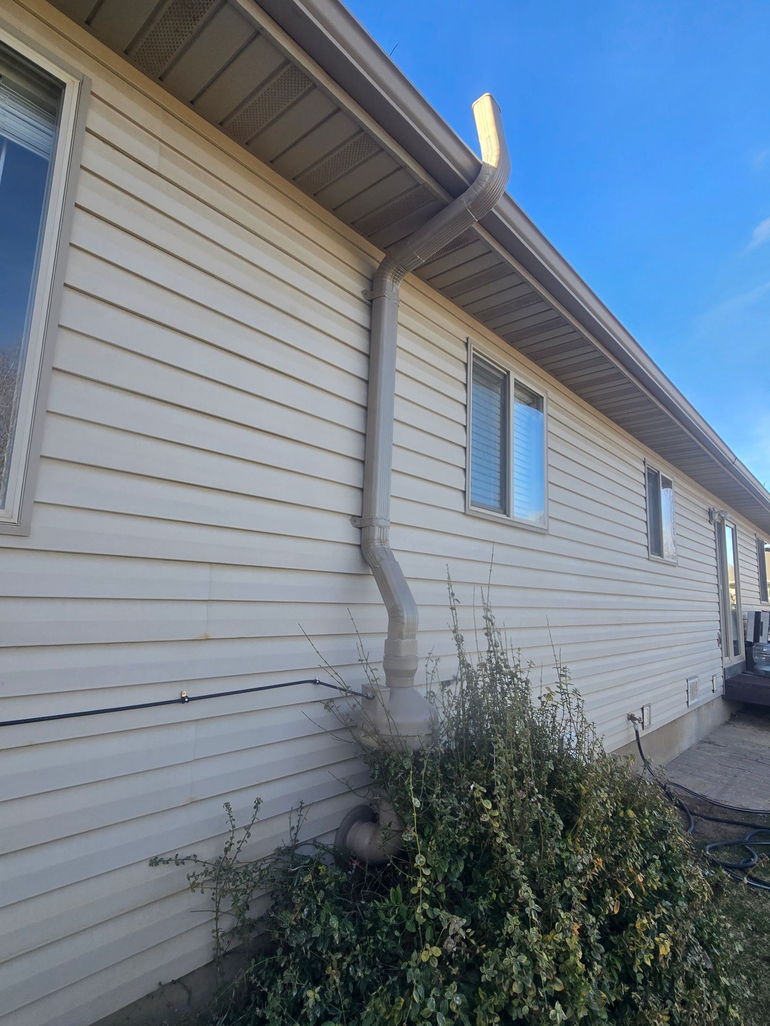 Side view of a beige house with white siding, a window, and overgrown bushes along the wall.