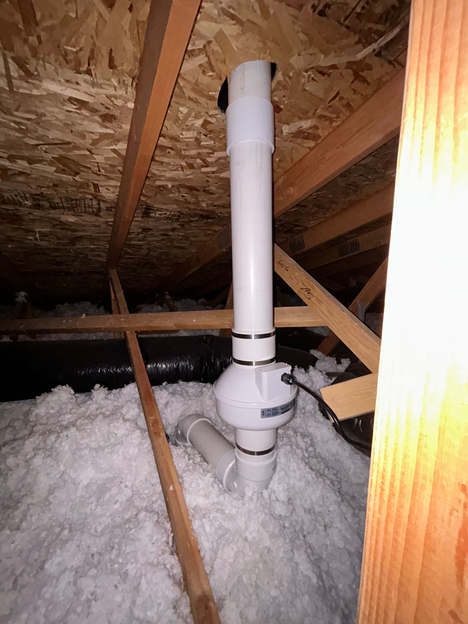 PVC plumbing vent pipe in an attic, surrounded by insulation under a plywood roof.