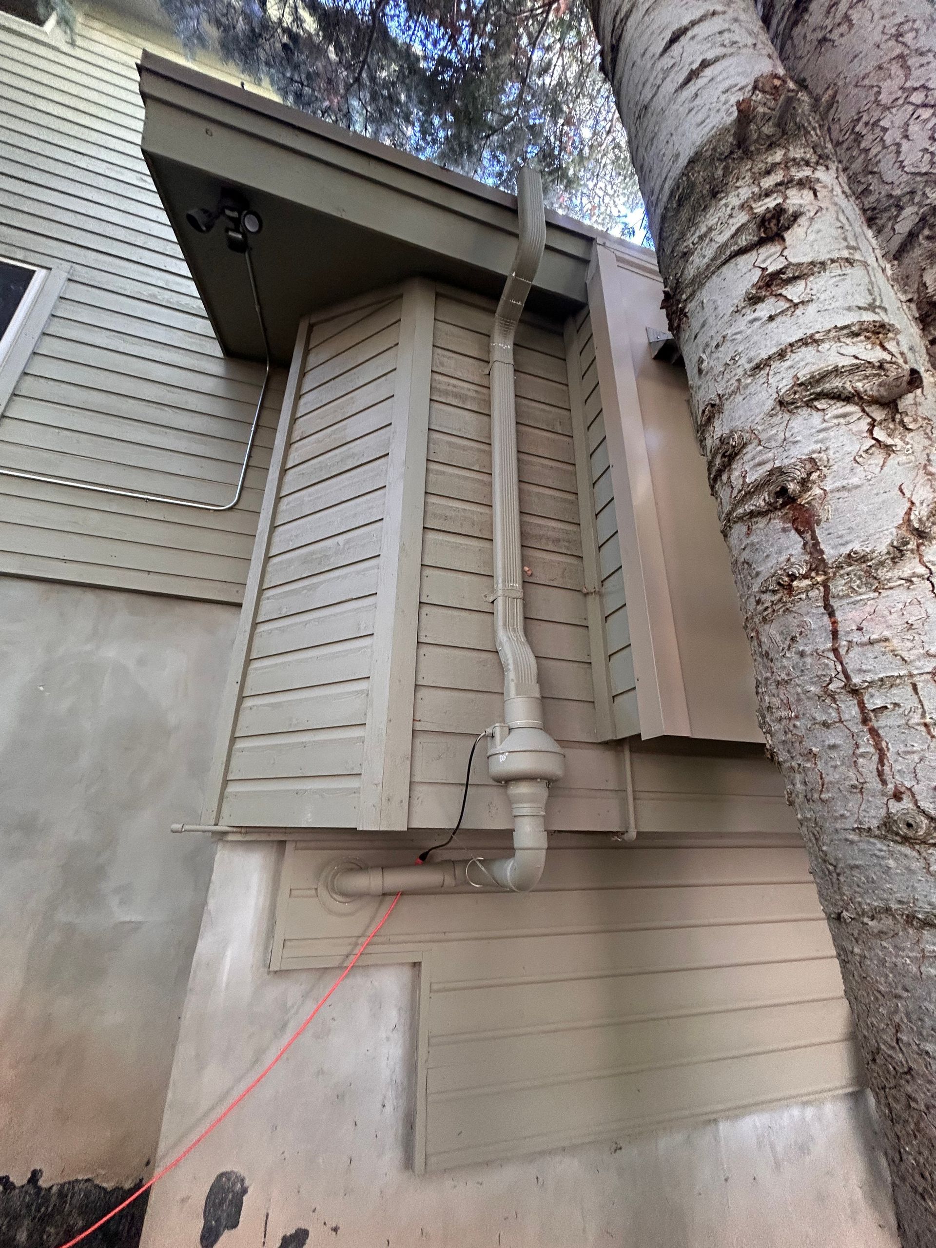 Exterior wall with drainpipe, beige siding, and a tree trunk beside the house