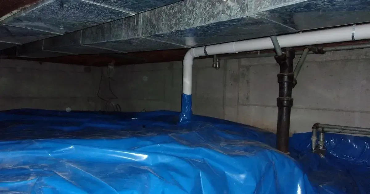 Blue plastic-covered pipes and a white pipe with valve under a crawlspace ceiling