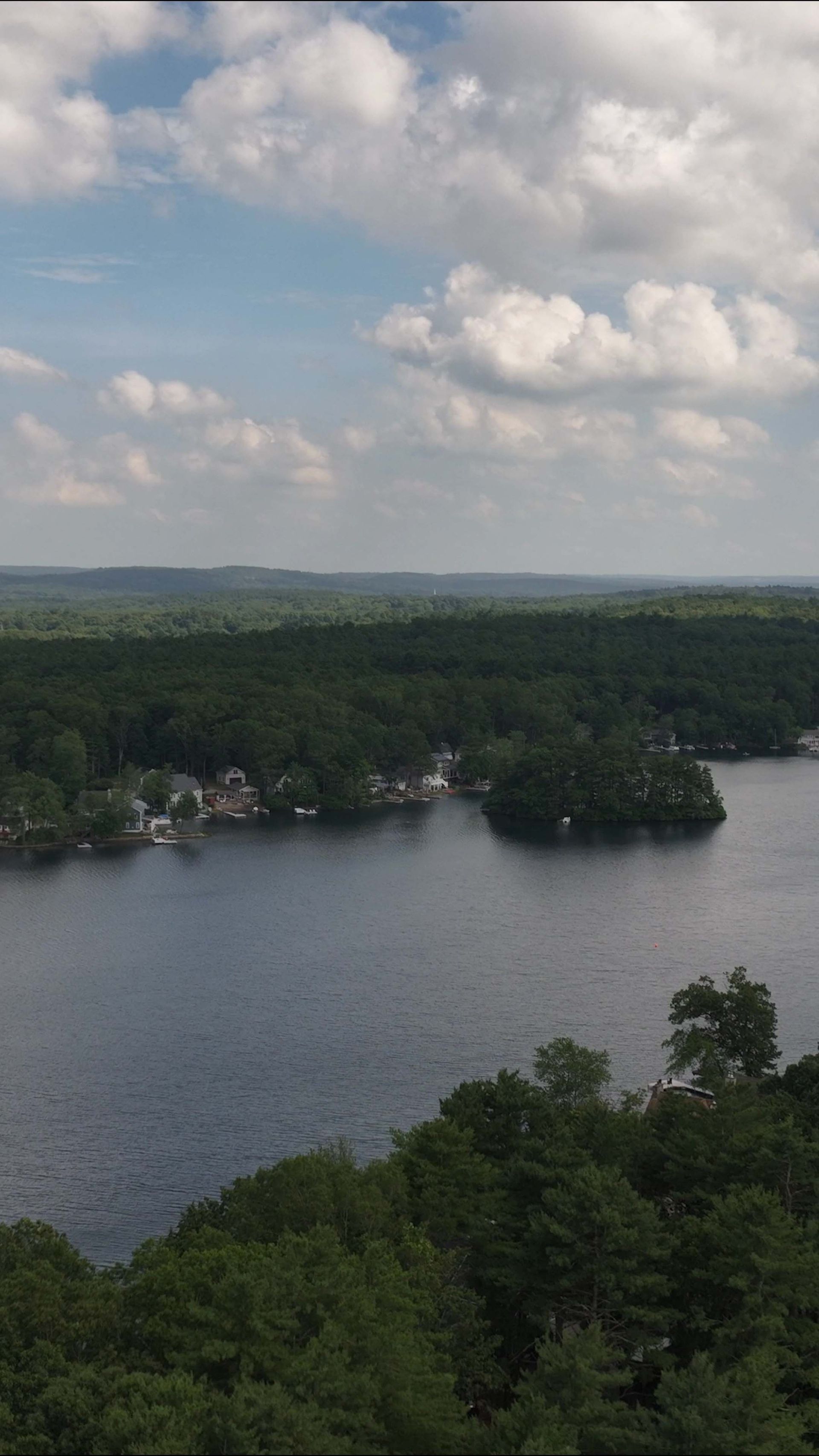Lake bordered by dense green forest under a cloudy sky, with a distant shoreline and small houses