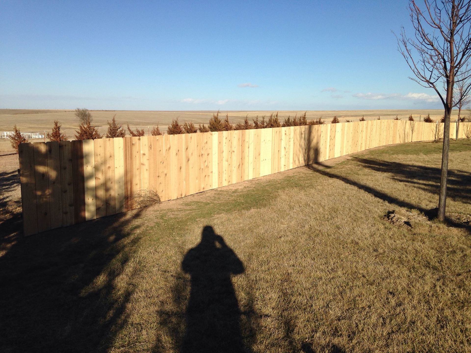 Wood Fencing