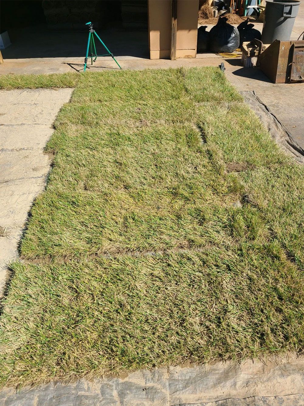 Sections of sod laid on a concrete surface, ready for installation.