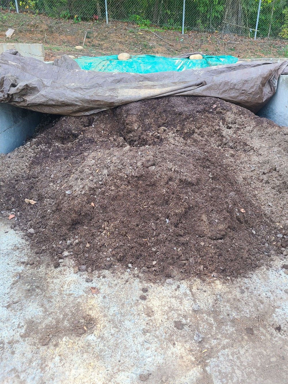 Pile of dark brown compost in a concrete bin, covered with a tarp.