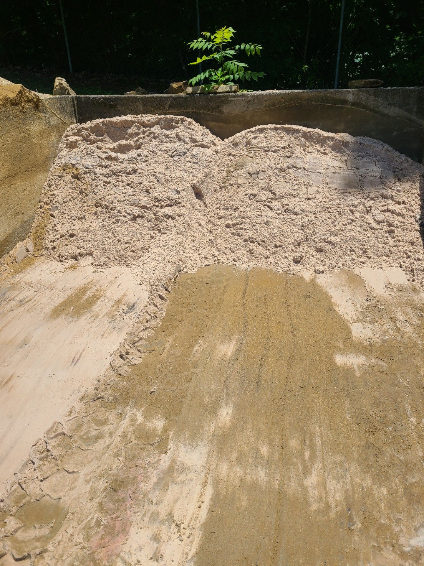 Pile of light-colored sand against a darker sand slope, with a green plant in the background.