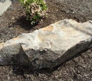 Large, light-colored rock in a mulch bed, next to a small flowering bush.