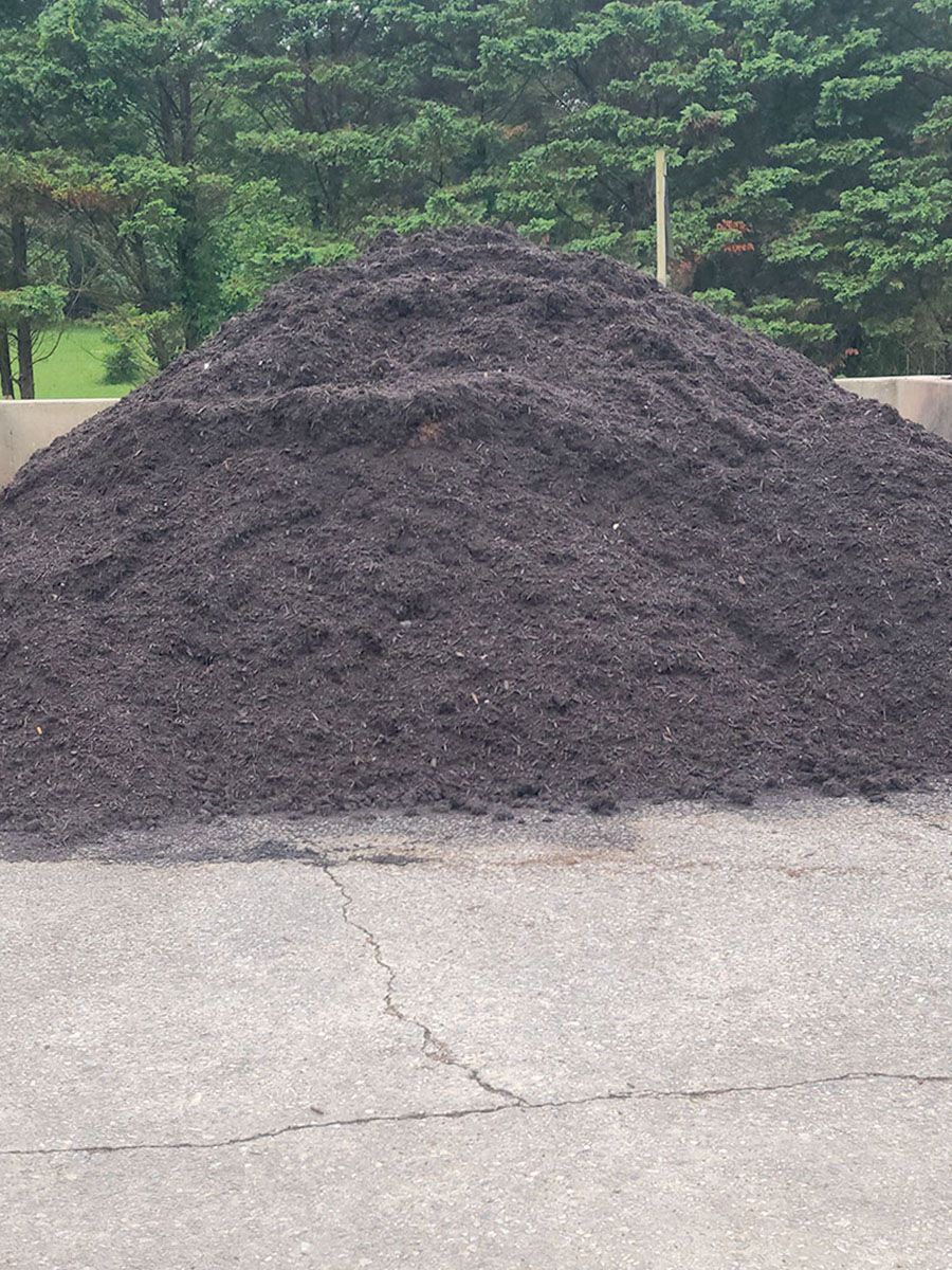 Pile of dark mulch on cracked concrete, with trees in the background.