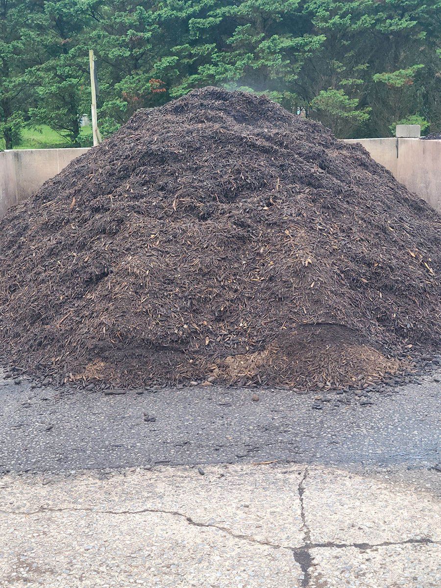 Pile of dark mulch in a concrete enclosure, with trees in the background.