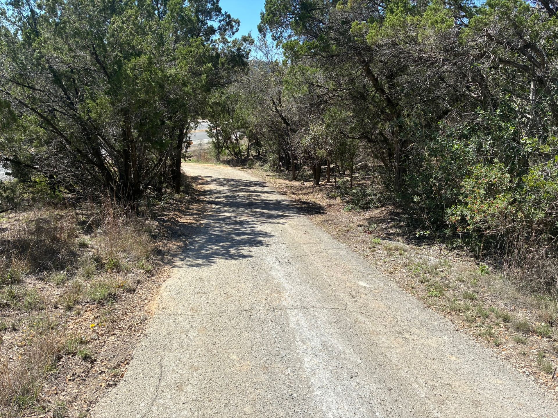 A paved walking trail winds through a sunlit wooded area with dense green trees on both sides.