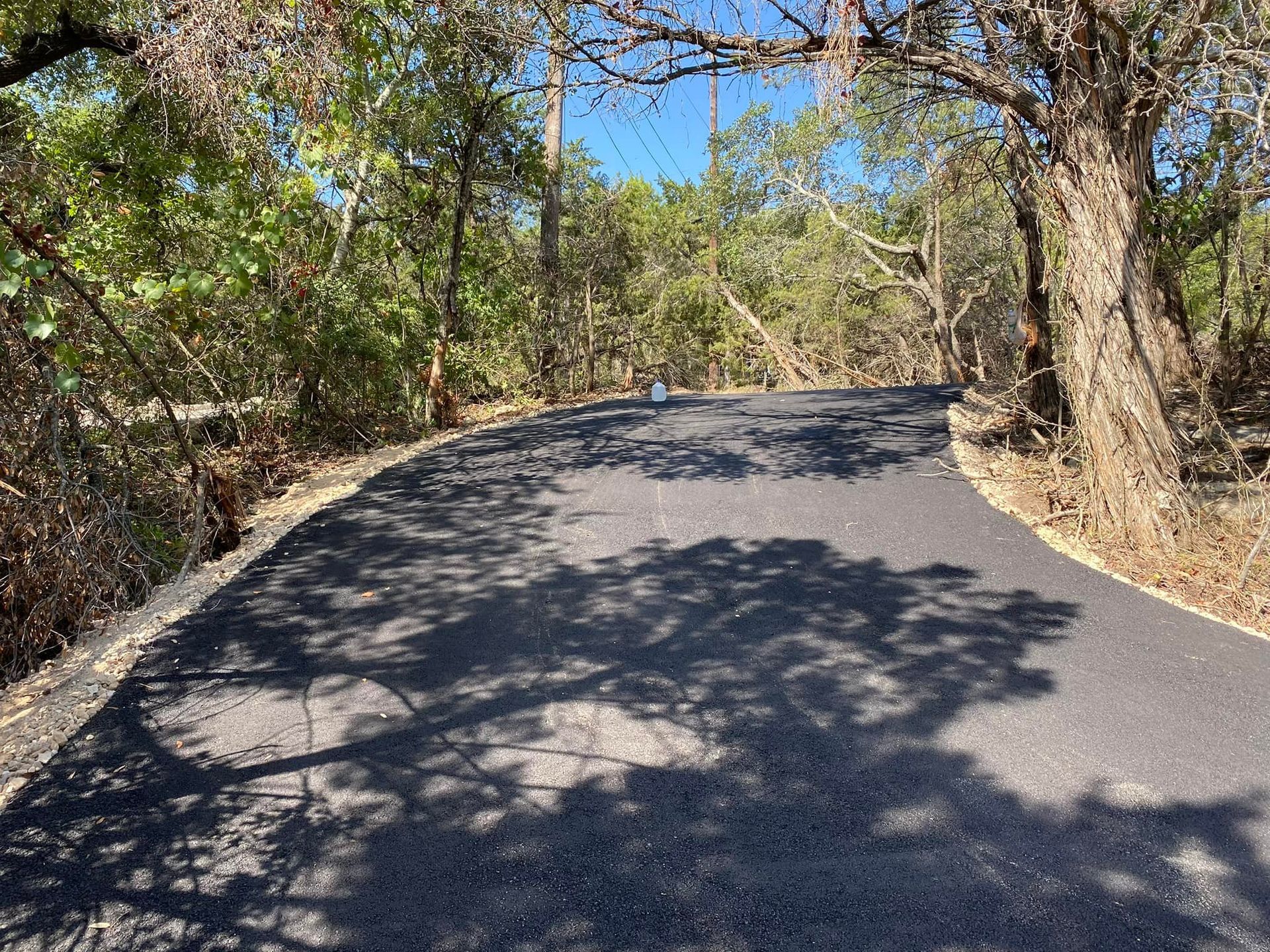 Paved road curves through a wooded area. Sunlight casts shadows.