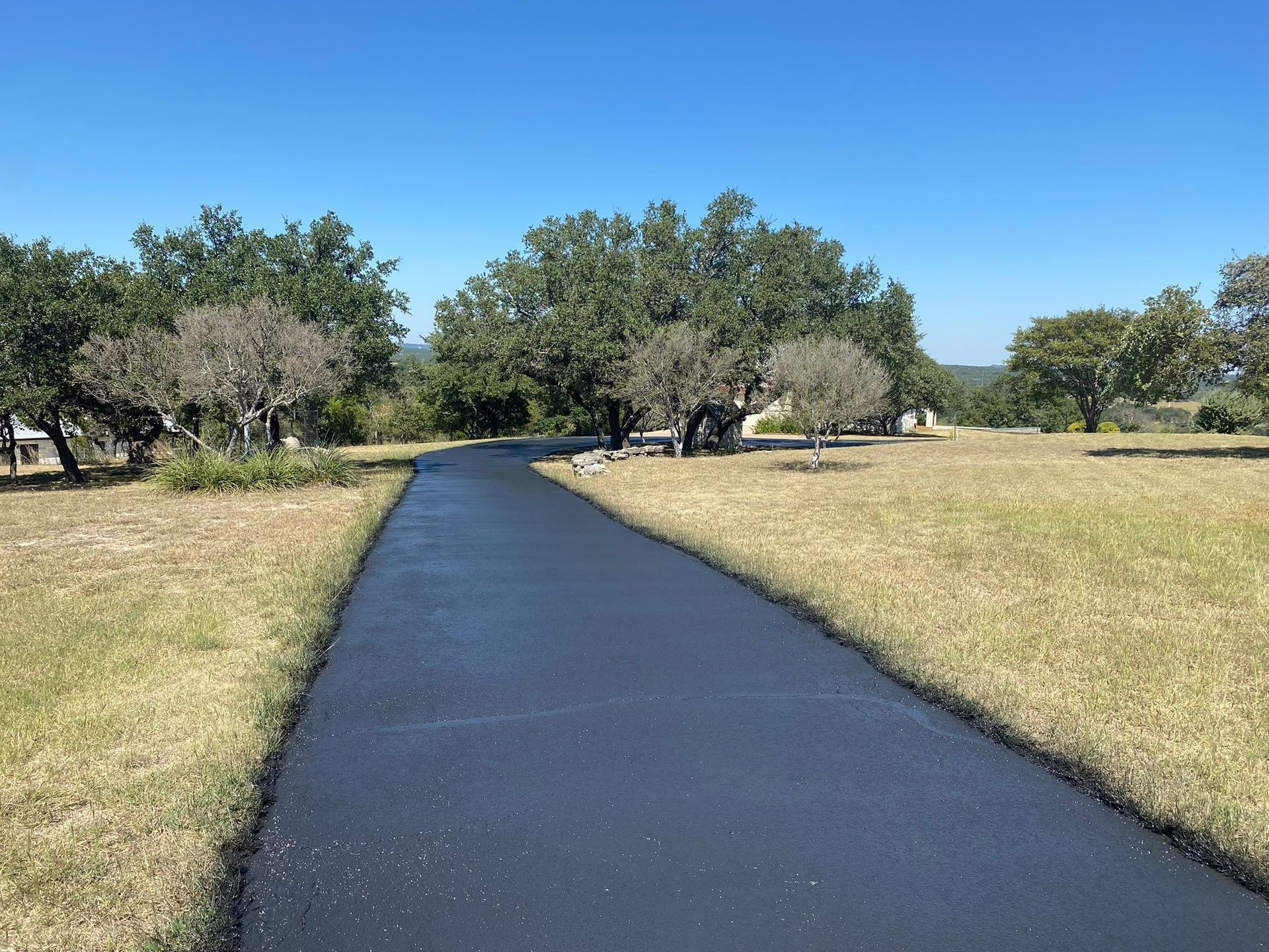 Asphalt path through grassy field with scattered trees under a blue sky.