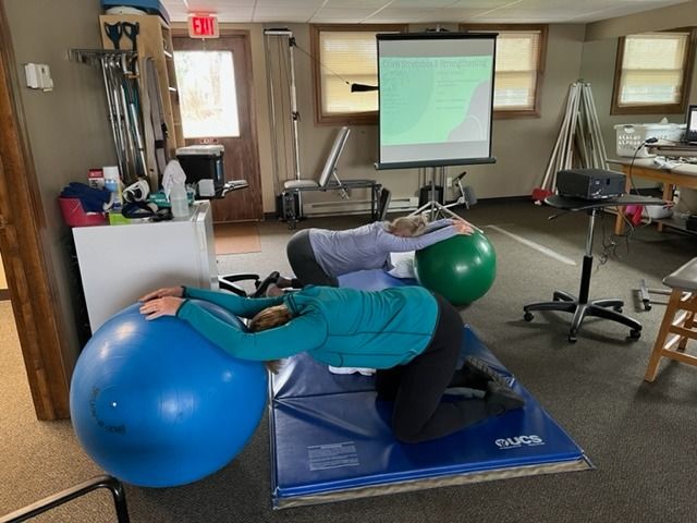 Two people stretching with exercise balls in a room with a projector screen.