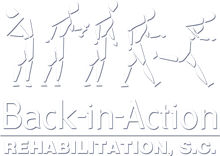Logo: Sequence of stick figures walking towards right, then breaking into a run, title reads "Back-in-Action REHABILITATION, S.C.".