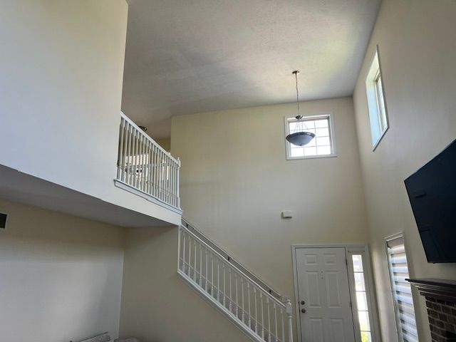 Green-painted office interior with windows, black trim, and a drop cloth on the floor.
