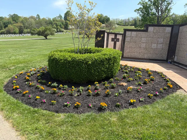 A circular garden bed with a central hedge and ringed with marigolds in front of a stone wall in a grassy cemetery.