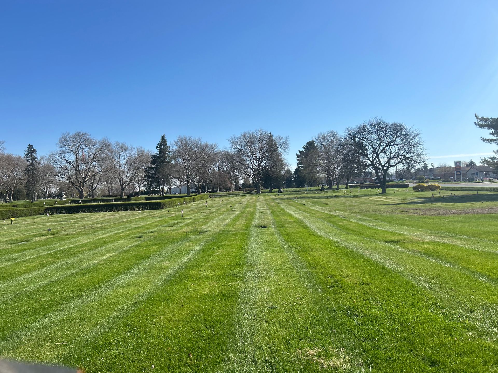 A park landscape with mown stripes in a bright green grass field, framed by trees under a clear blue sky.