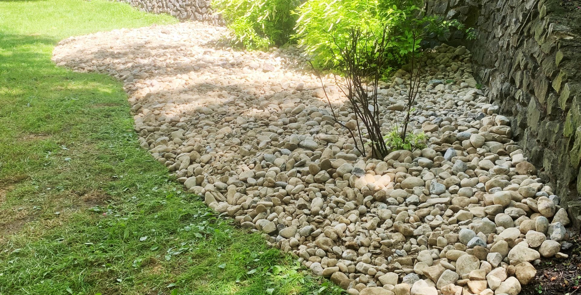 Gravel bed borders a grassy lawn and stone wall, with a small green bush centered in the bed.
