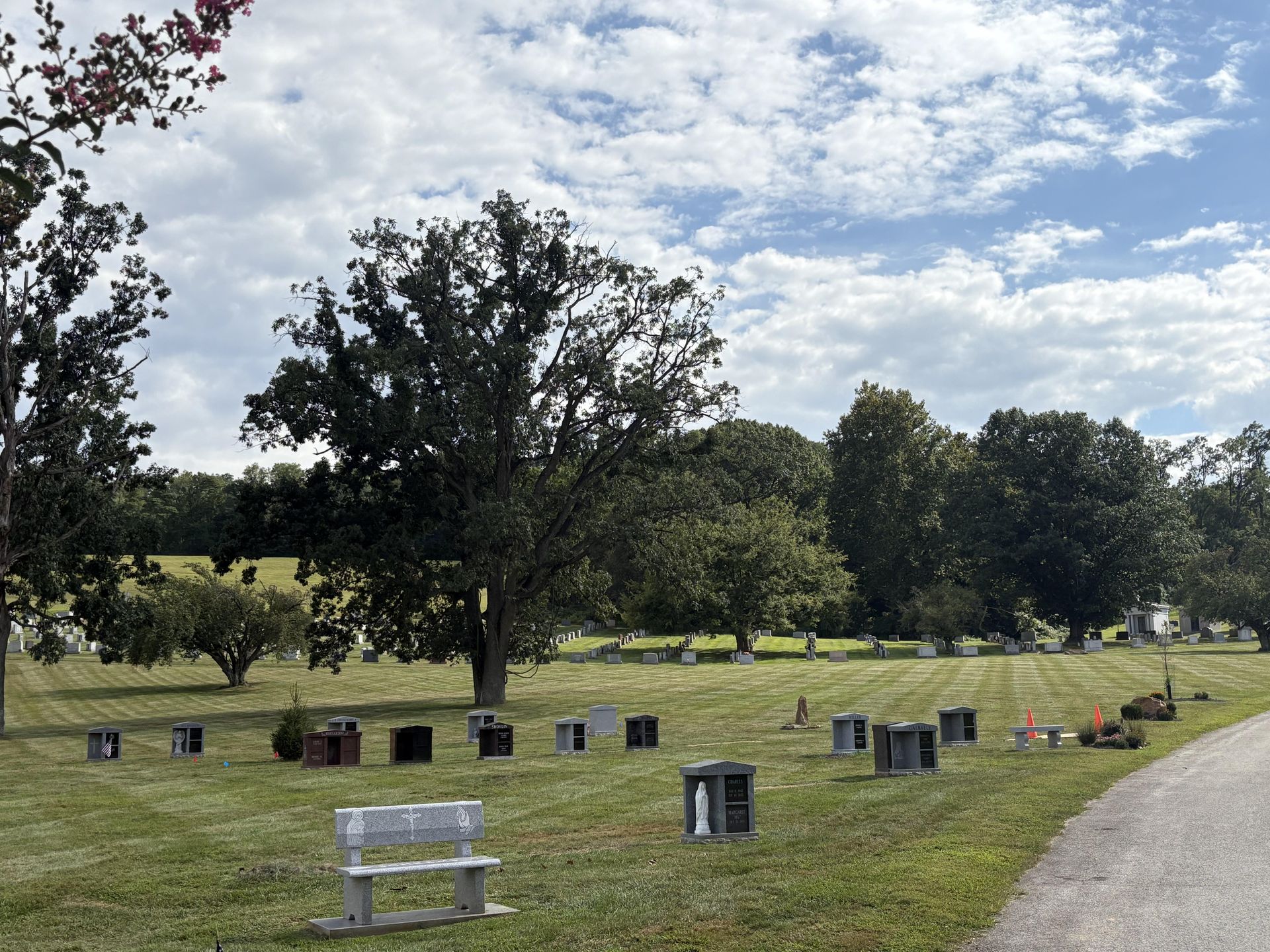 Cemetery landscape with headstones and trees under a cloudy sky. A bench sits in the foreground.