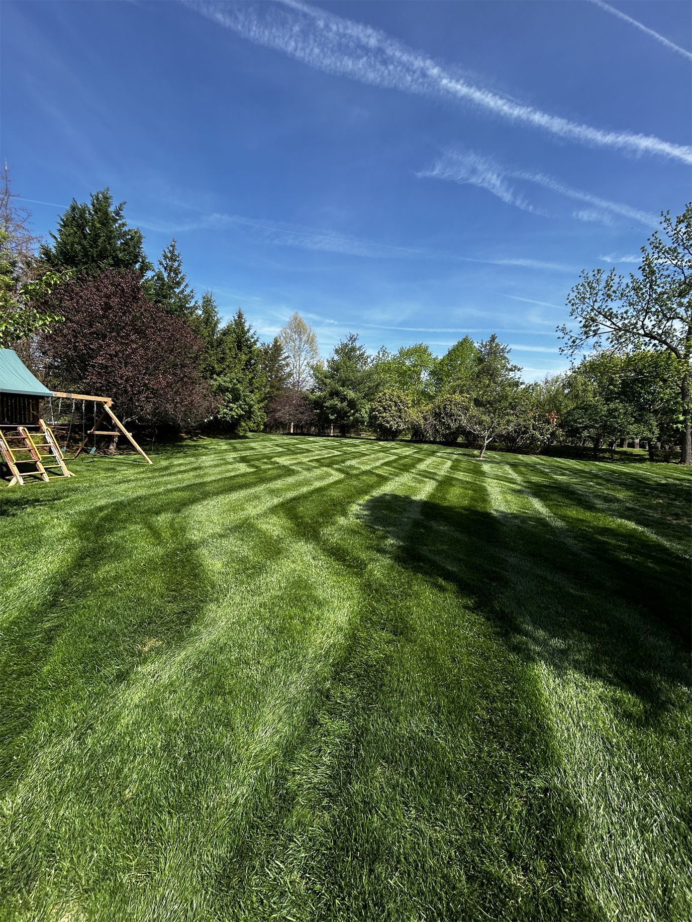 Lawn with striped mowing pattern under a blue sky, trees in the background, a wooden playset on the left.