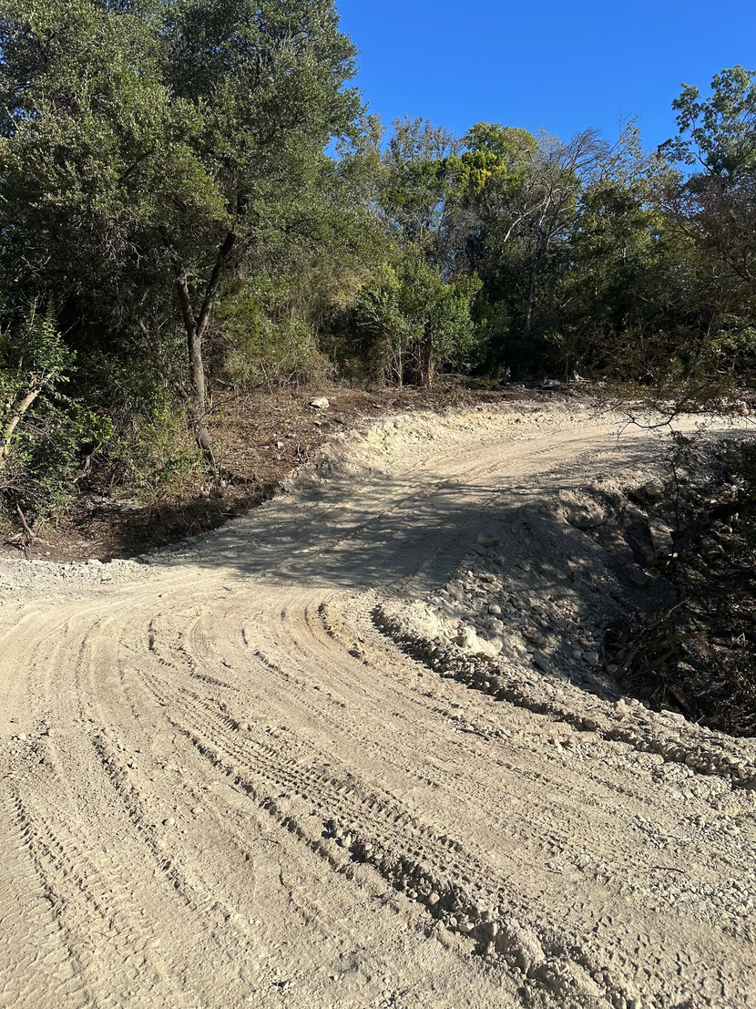 Dirt road curving through trees under a blue sky; sunlight creates shadows.