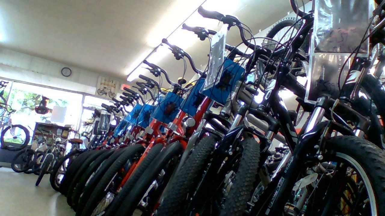 Bike Sales