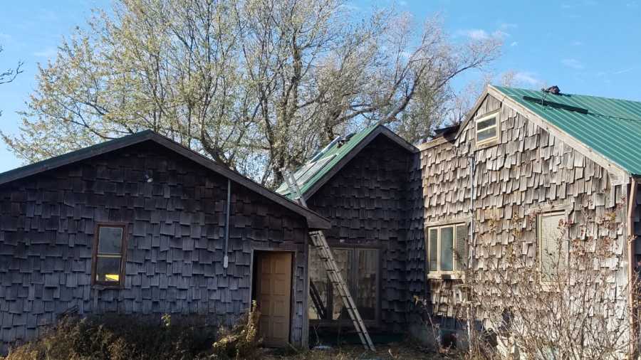 A wooden house with a green roof and a tree in the background.