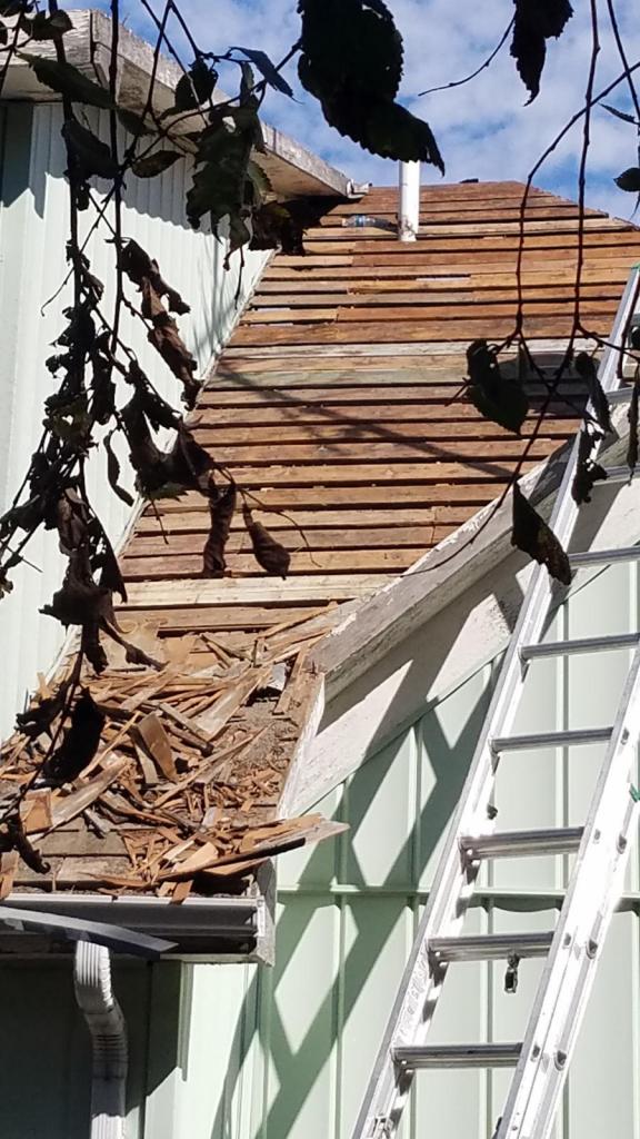 A ladder is sitting on the side of a building next to a wooden roof.