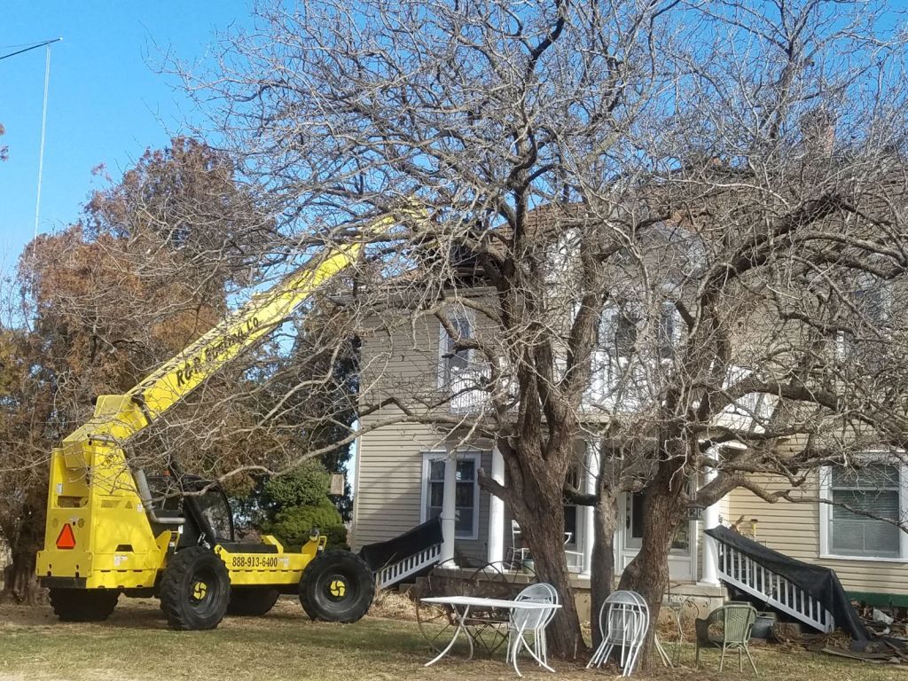 A yellow crane is cutting a tree in front of a house.